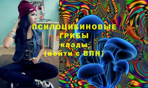 гидра Балахна